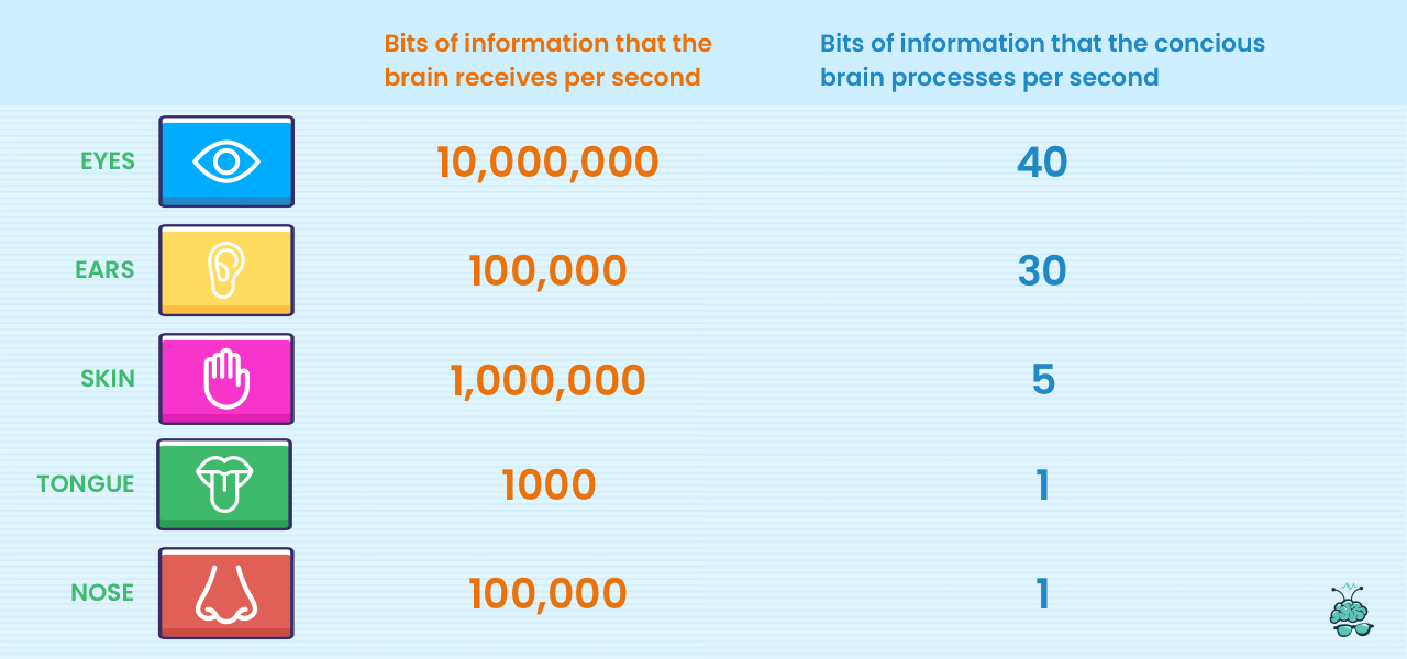 Selective Attention_Bits of information received and processed by brain.