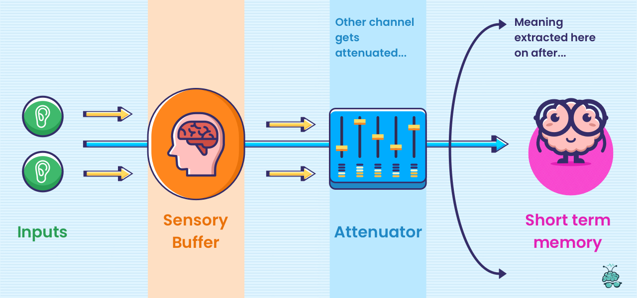 Selective Attention_Broadbent's Filter Model