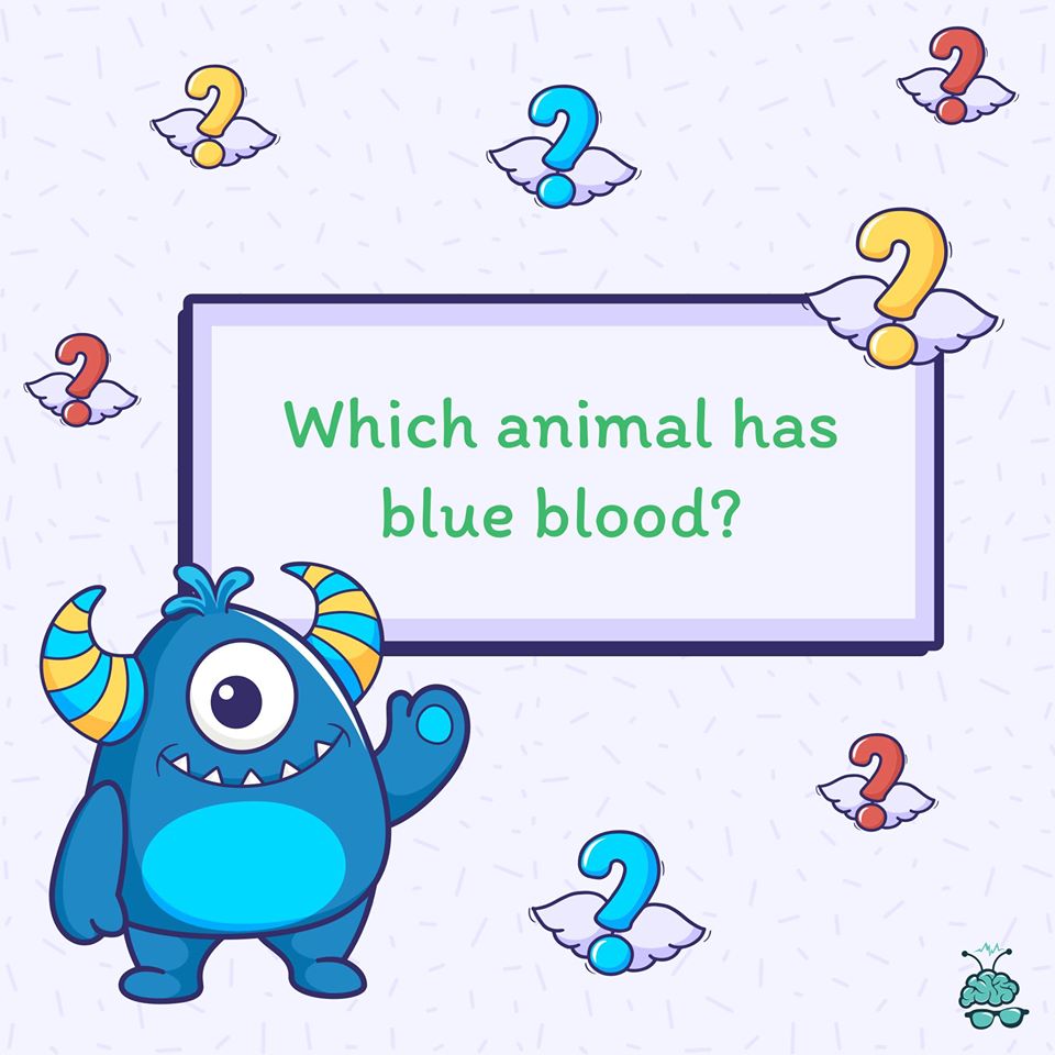 Most of the creatures on earth have red blood — but there are some exceptions. Can you name an animal that has blue blood? (Bonus points if you can tell why this animal has blue blood.)