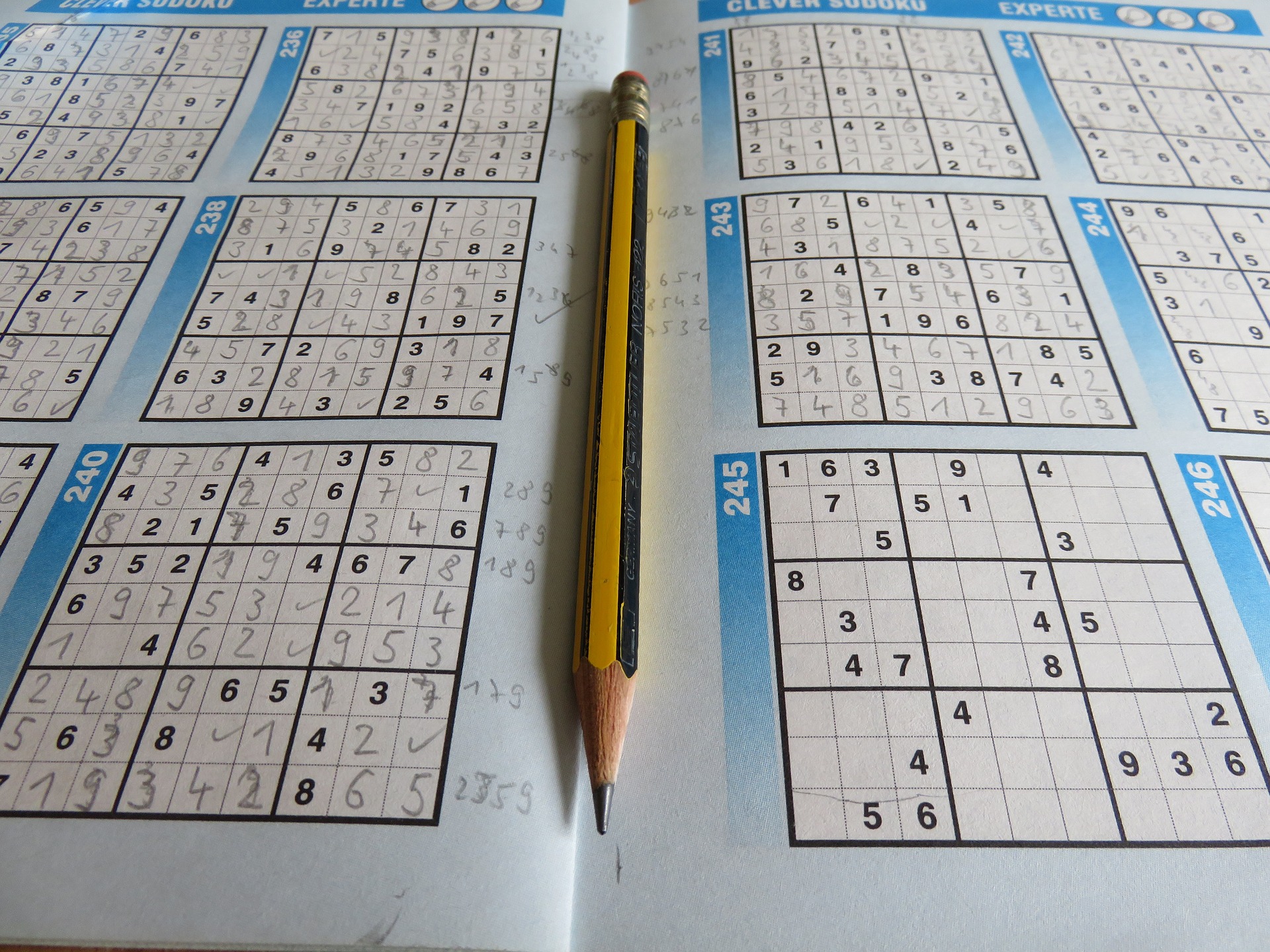 Brain Games For Kids_Sudoku
