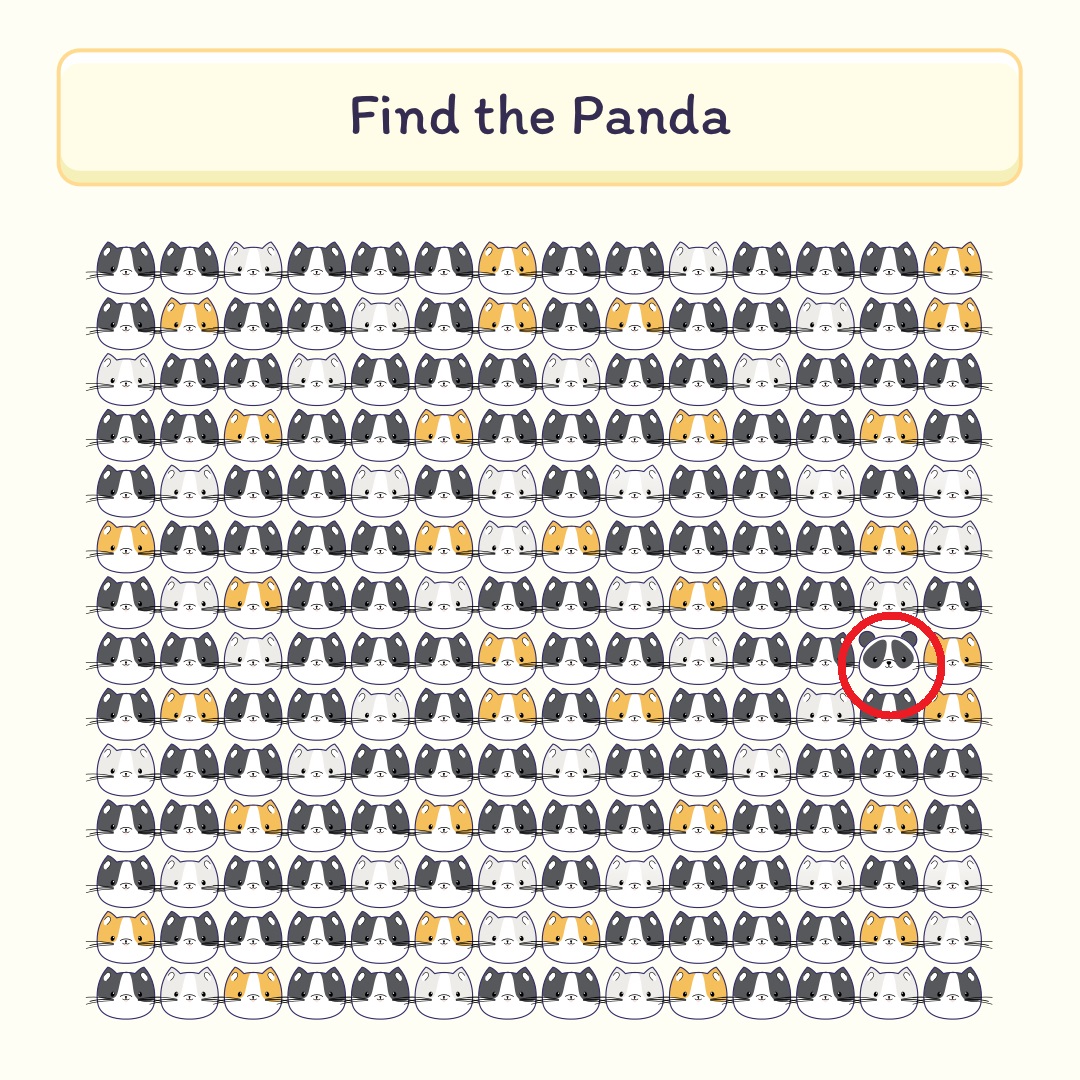 Brain teasers_Spot the panda_answer