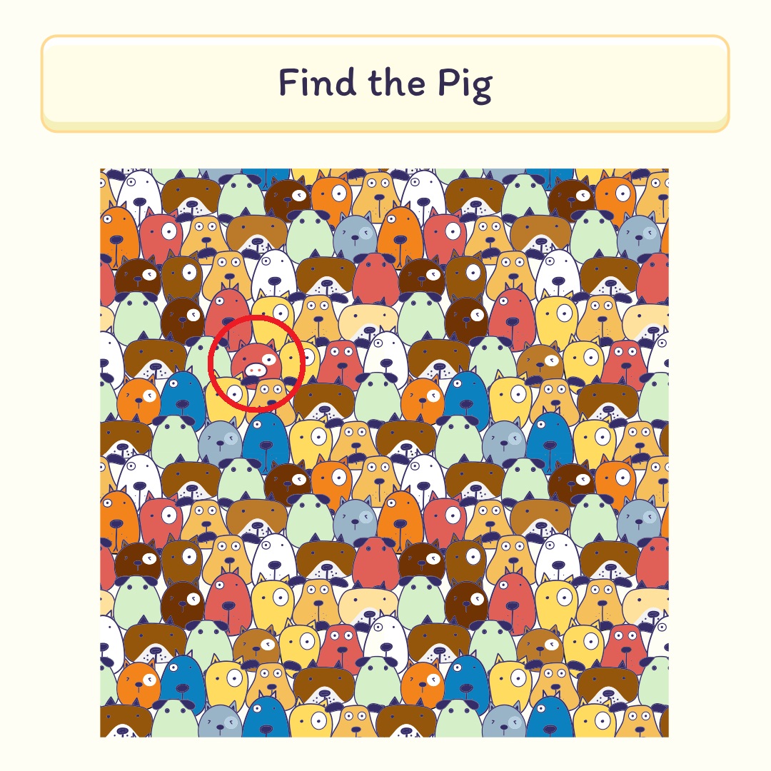Brain teasers_Spot the pig_answer